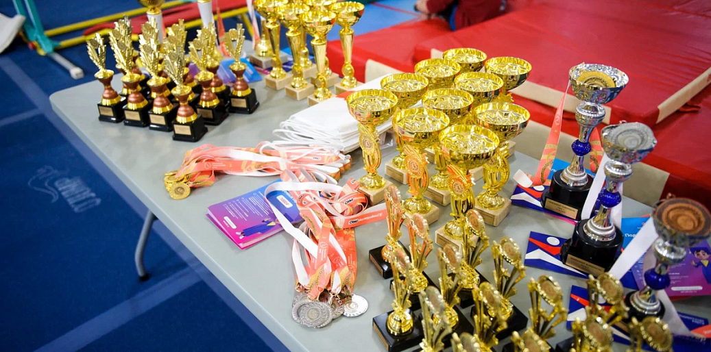 ЧЕМПИОНАТ EUROPEGYM-4